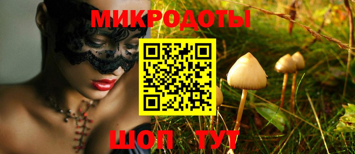 Новосибирск  Псилоцибиновые грибы Magic Shrooms  Вход с VPN  Псилоцибиновые грибы Psilocybine cubensis 